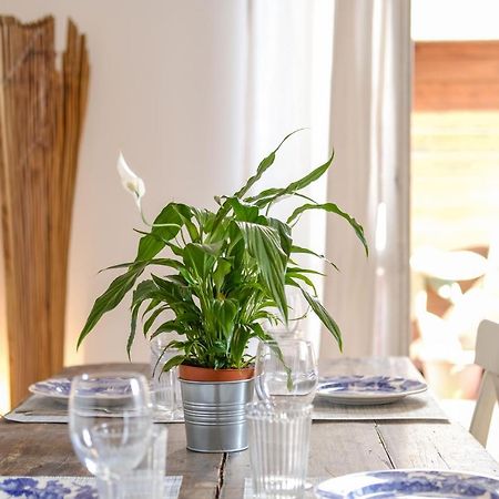 Spacious Apartment With Big Terrace At Colosseum โรม ภายนอก รูปภาพ